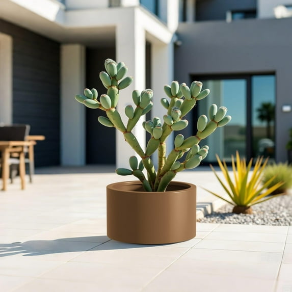 Noble House 15.5" x 12" Round Metal Planter, Indoor/Outdoor, Drainage Hole, Brown