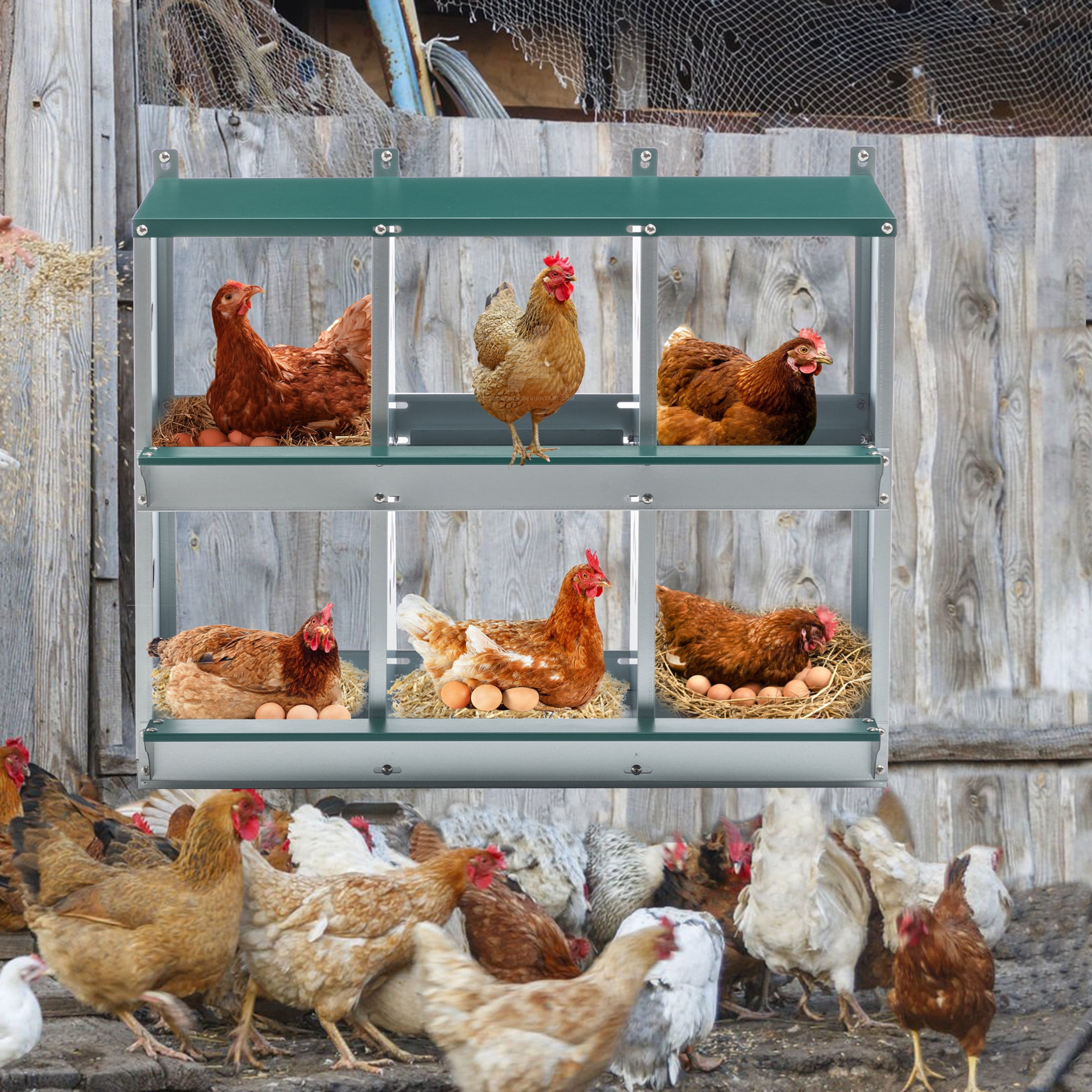 Noble House 6-Hole Steel Chicken Nesting Box with Sloped Roof and Egg Collection Incline, for Hens, Ducks, Green