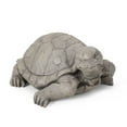 thumbnail image 1 of Noble House 8" Orwell Cast Stone Outdoor Turtle Garden Statue, 1 of 9