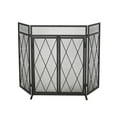 thumbnail image 1 of Noble House Biscay Metal Fireplace Screen with Door, Matte Black, 1 of 10