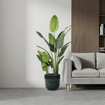 Noble House Kathleen Ceramic Flowerpot Set, Glossy Finish with Drainage for Versatile Planting, Set of 3, Antique Black