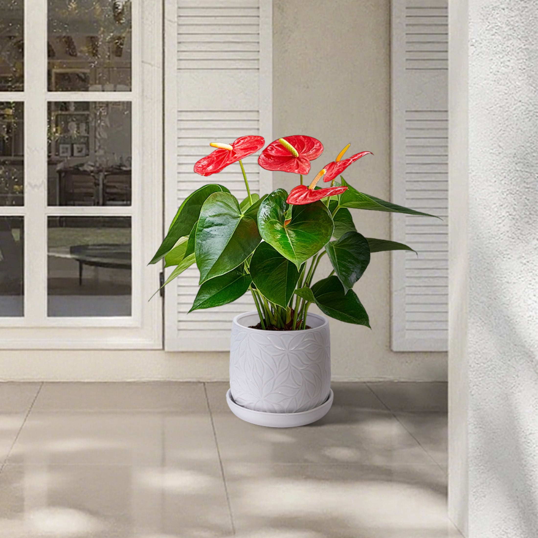 Noble House Olivia Embossed Leaf Ceramic Planter Set, Modern Flowerpots with Drainage, Set of 2, Gloss White