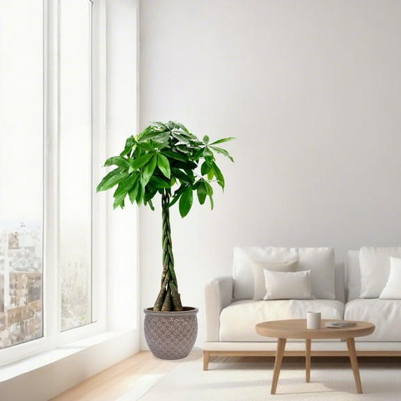 Noble House Rachel Glossy Ceramic Flowerpot Set, with Drainage Hole for Patio and Garden, Set of 3, Antique Yellow