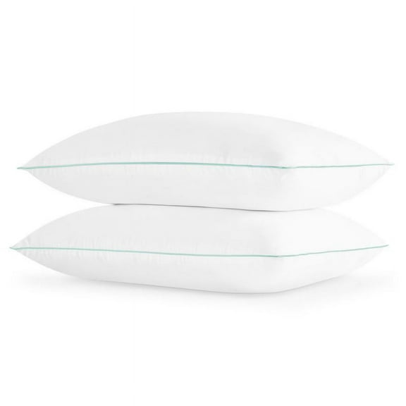 Noble Linens 2 Pack Gel Fiber Pillow