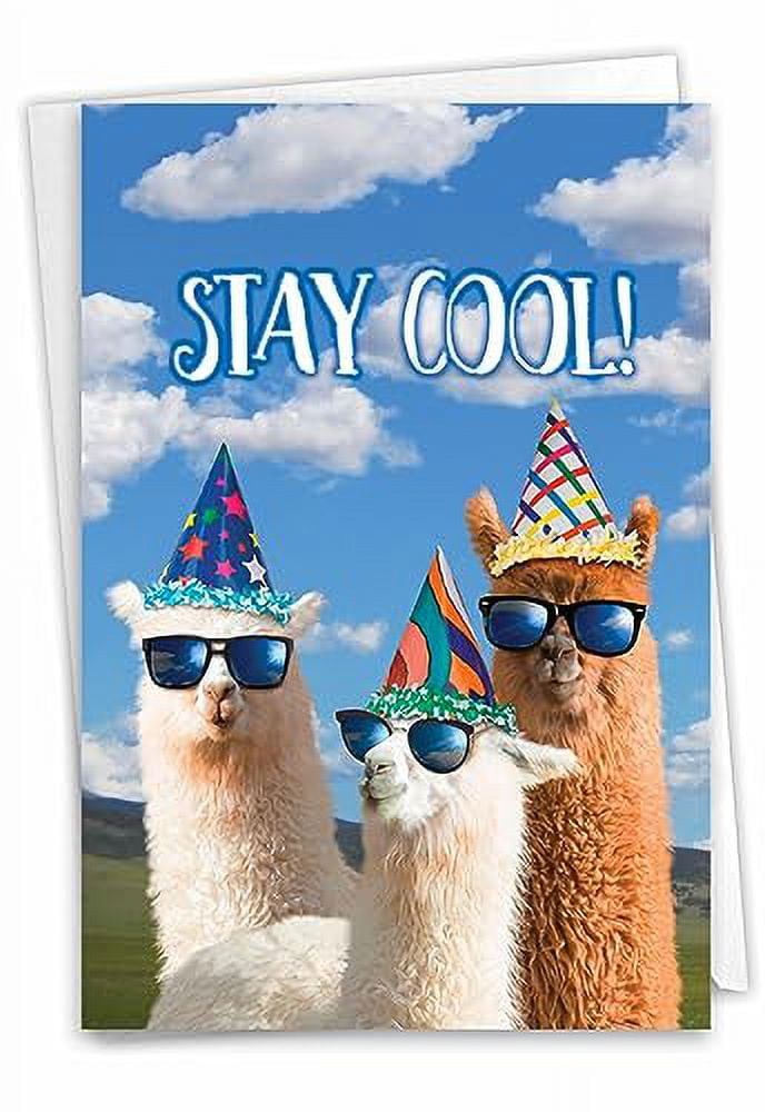 Happy Birthday Pictures Funny Animals