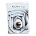 thumbnail image 1 of NobleWorks - 1 Miss You Greeting Card - Animal Pet Pooch Cover, Nose Smell - Dog Gone Roll C9265AMYG SF1, 1 of 6