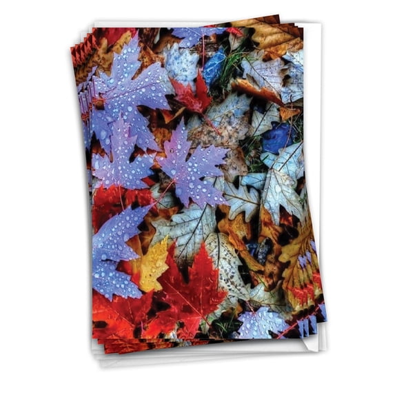 NobleWorks 12 Blank Greeting Cards Box Set with 5 x 7 Inch Envelopes (1 Design, 12 Each) Blank All Occasions Lavish Leaves - Autumn C7177BOCB-B12x1