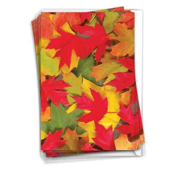 NobleWorks 12 Blank Greeting Cards Boxed Set with 5 x 7 Inch Envelopes (1 Design, 12 Each) Blank All Occasions Leaf a Message - Maple C2009AOCB-B12x1