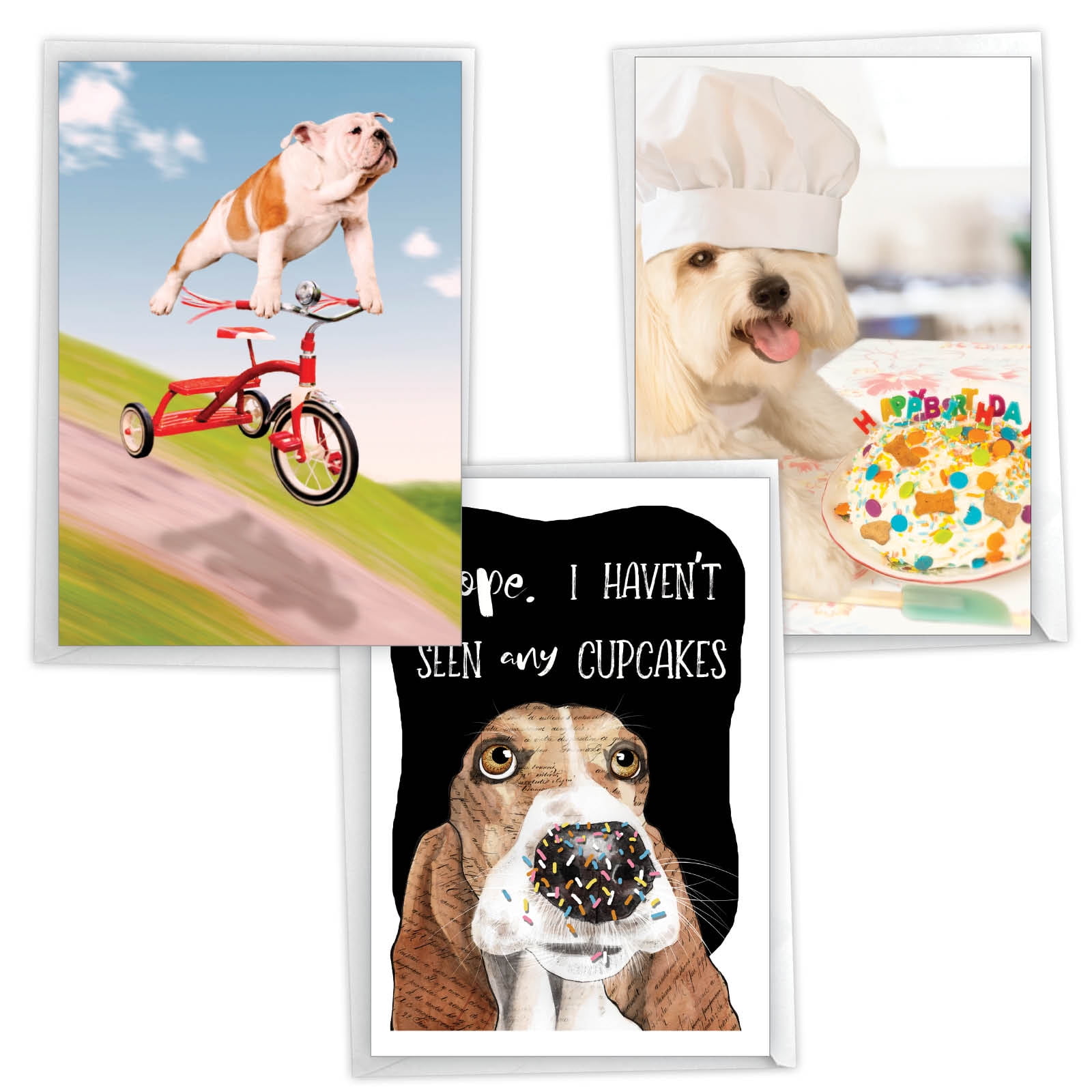 NobleWorks 3 Variety Assortment Pack of Humorous Birthday Card for Men and Women, with 5 x 7 in Envelopes (3 Designs, 1 Each), Party Pups VC2804BDG-C1x3
