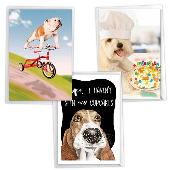 NobleWorks 3 Variety Assortment Pack of Humorous Birthday Card for Men and Women, with 5 x 7 in Envelopes (3 Designs, 1 Each), Party Pups VC2804BDG-C1x3