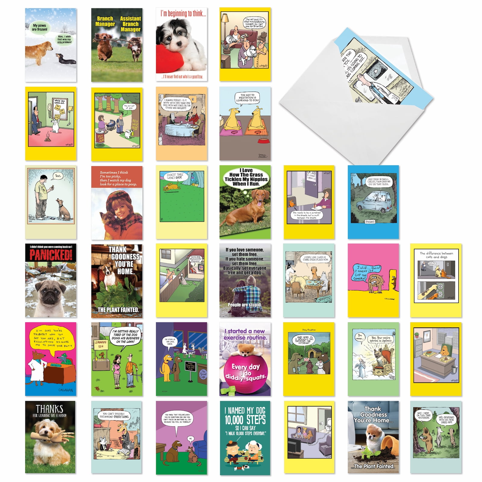 NobleWorks 36 Assorted Box Set Funny Blank Greeting Cards w/5 x 7 Inch Envelopes (36 Designs, 1 Each) Blank All Occasions Barking Blanks AC7753OCB-B1x36