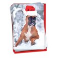 thumbnail image 1 of NobleWorks, Best Boxers - 12 Funny Christmas Cards Boxed - Bulk Set, C6295IXSG-B12x1, 1 of 6