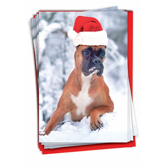 NobleWorks, Best Boxers - 12 Funny Christmas Cards Boxed - Bulk Set, C6295IXSG-B12x1