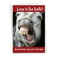 thumbnail image 1 of NobleWorks Funny 70th Milestone Birthday Greeting Card with 5 x 7 Inch Envelope (1 Card) Horse Teeth-70 C10250MBG, 1 of 6