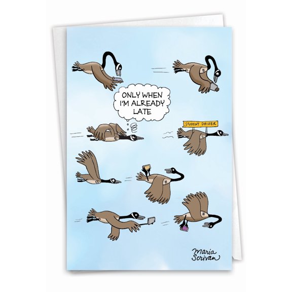 NobleWorks Funny Belated Birthday Greeting Card with 5 x 7 Inch Envelope (1 Card) Geese Traffic C9597BEG