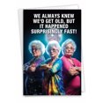 thumbnail image 1 of NobleWorks Funny Birthday Greeting Card with 5 x 7 Inch Envelope (1 Card) Bday Old Fast C10072BDG, 1 of 6