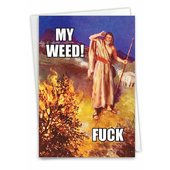 NobleWorks Funny Blank All Occasions Greeting Card with 5 x 7 Inch Envelope (1 Card) Blank All Occasions Moses' Bush 4300K