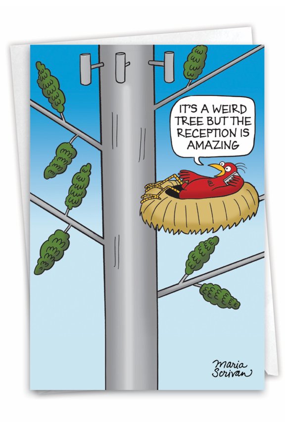Funny Blank All Occasions Paper Card with 5 x 7 Inch Envelope (1 Card) Blank All Occasions Weird Tree C6086OCB