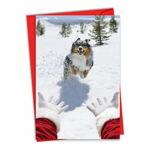 NobleWorks Funny Christmas Greeting Card with 5 x 7 Inch Envelope (1 Card) Merry Christmas Holiday Santa Dog C7669XSG
