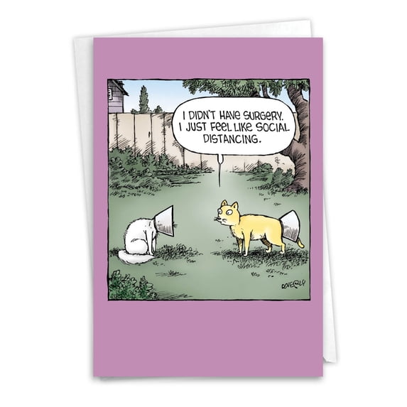 NobleWorks Funny Get Well Greeting Card with 5 x 7 Inch Envelope (1 Card) No Surgery Cats C7864GWG