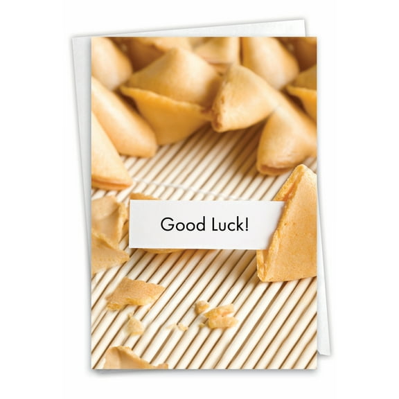 NobleWorks Funny Good Luck Paper Card with 5 x 7 Inch Envelope (1 Card) Lucky Fortune C10046GLG