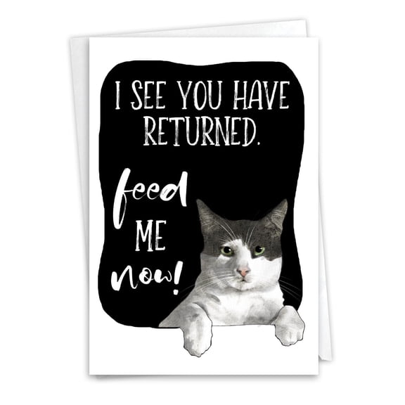 NobleWorks Funny Miss You Greeting Card with 5 x 7 Inch Envelope (1 Card) Thinking of You, Just Because Cat Antics - Feed Me C3638CMYG