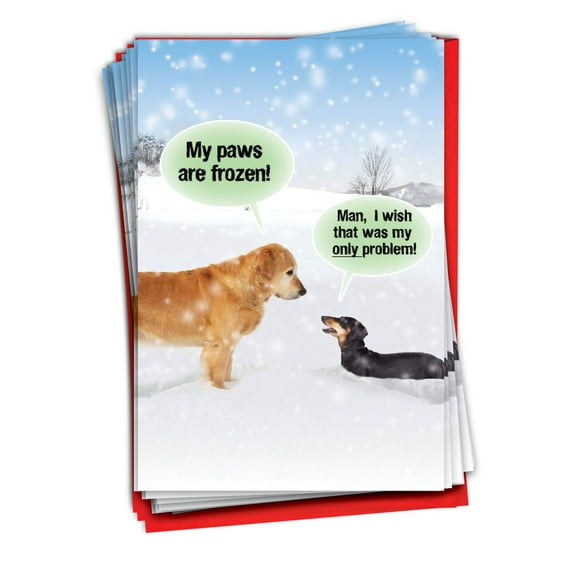 NobleWorks, My Paws Are Frozen - 36 Funny Christmas Cards Boxed - Bulk Set, C5953XSG-B36