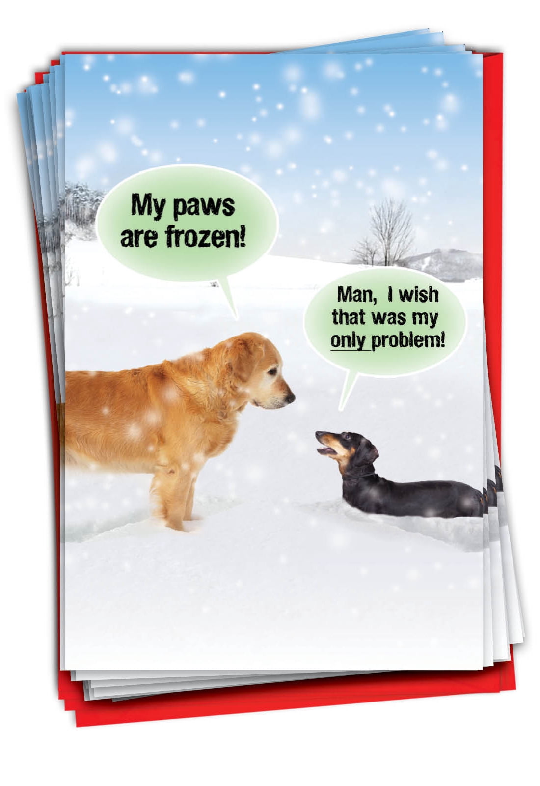 12 Funny Merry Christmas Cards (1 Design, 12 Cards) - Santa Timmy B1518