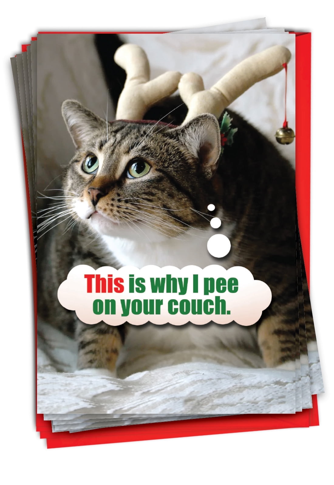 NobleWorks, Pee On Couch - 12 Funny Christmas Thank You Cards Boxed - Bulk Set, C1130XTG-B12x1