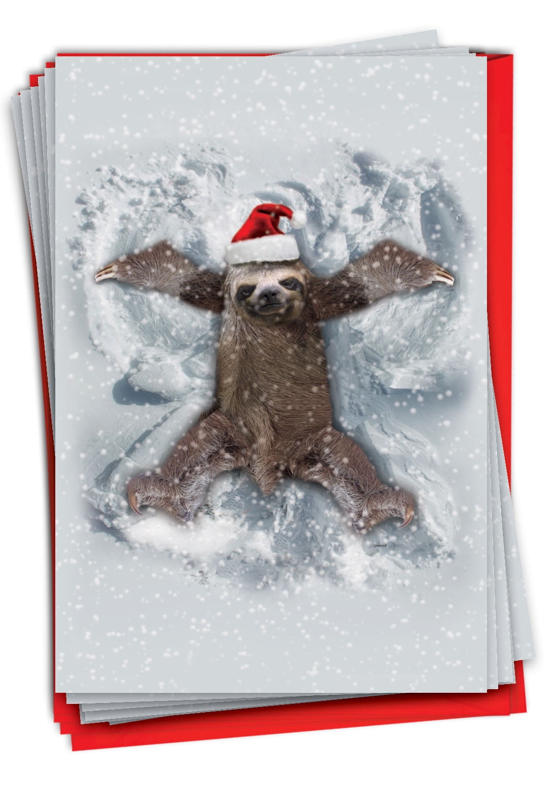 NobleWorks, Sloth Angel - 12 Funny Christmas Thank You Cards Boxed ...