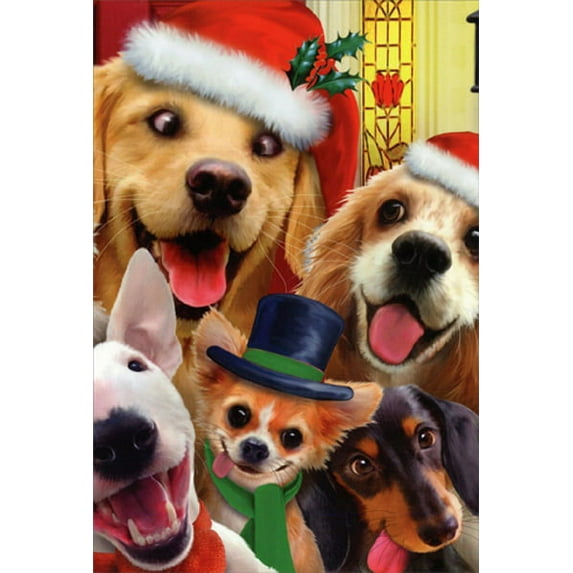 Nobleworks Dogs Making Silly Faces Howard Robinson Humorous / Funny Christmas Card (1 card/1 envelope)