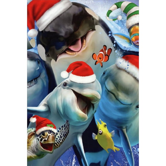 Nobleworks Dolphin, Whale, Turtle and Fish Making Silly Faces Howard Robinson Humorous / Funny Christmas Card (1 card/1 envelope)