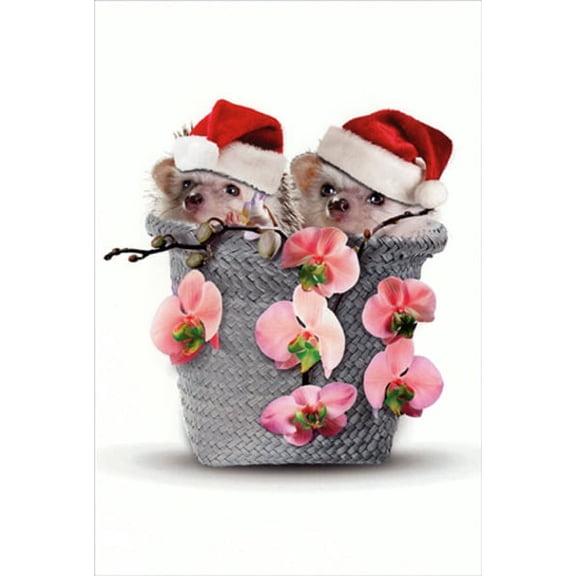 Nobleworks Hedgehogs in Basket Cute Christmas Card (1 card/1 envelope)