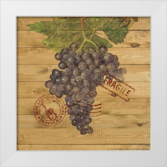 Nobleworks, Inc. 12x12 White Modern Wood Framed Museum Art Print Titled - Grapes C