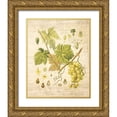 thumbnail image 1 of Nobleworks Inc. 12x14 Gold Ornate Wood Framed with Double Matting Museum Art Print Titled - Grapevine II, 1 of 4