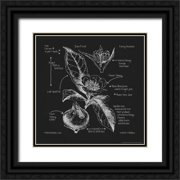 Nobleworks, Inc. 15x15 Black Ornate Wood Framed with Double Matting Museum Art Print Titled - Blueprints 8