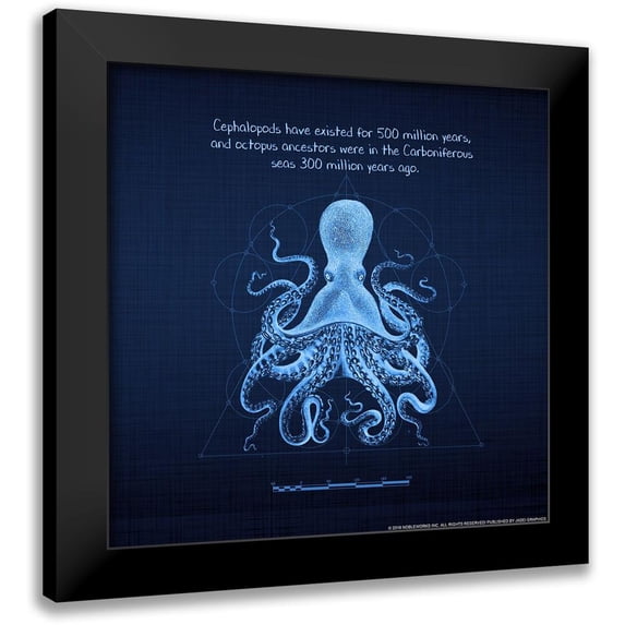 Nobleworks, Inc. 20x20 Black Modern Framed Museum Art Print Titled - Octoprint 2