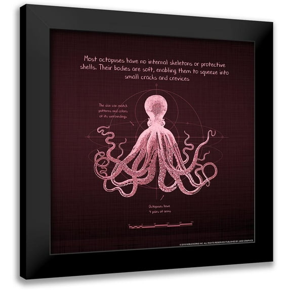 Nobleworks, Inc. 20x20 Black Modern Framed Museum Art Print Titled - Octoprint 4