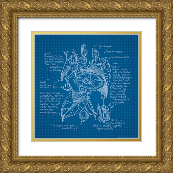 Nobleworks, Inc. 20x20 Gold Ornate Wood Framed with Double Matting Museum Art Print Titled - Blueprints 3