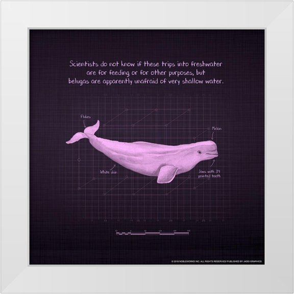 Nobleworks, Inc. 20x20 White Modern Wood Framed Museum Art Print Titled - Whaleprint 1