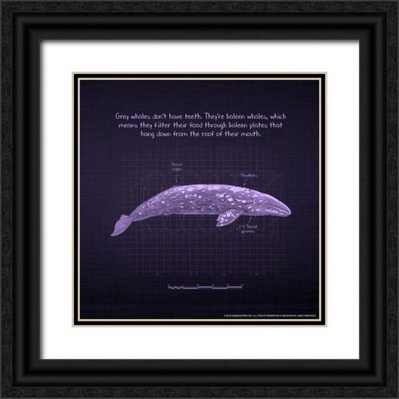 Nobleworks, Inc. 26x26 Black Ornate Wood Framed with Double Matting Museum Art Print Titled - Whaleprint 2