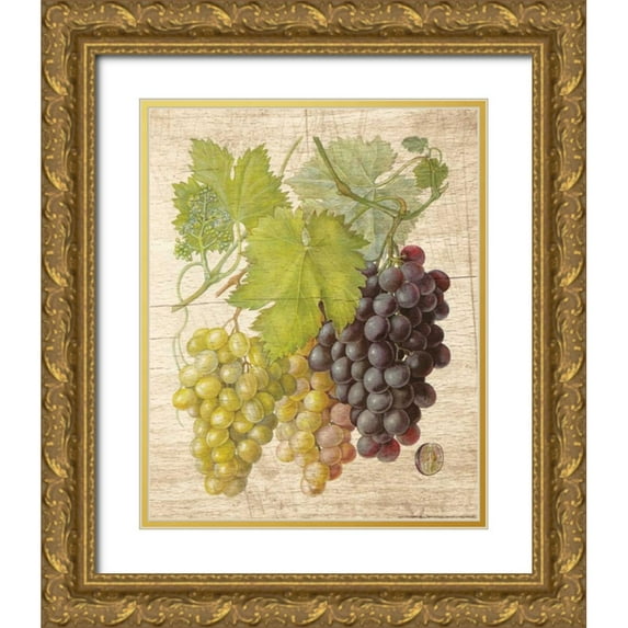 Nobleworks, Inc. 26x32 Gold Ornate Wood Framed with Double Matting Museum Art Print Titled - Grapevine 2