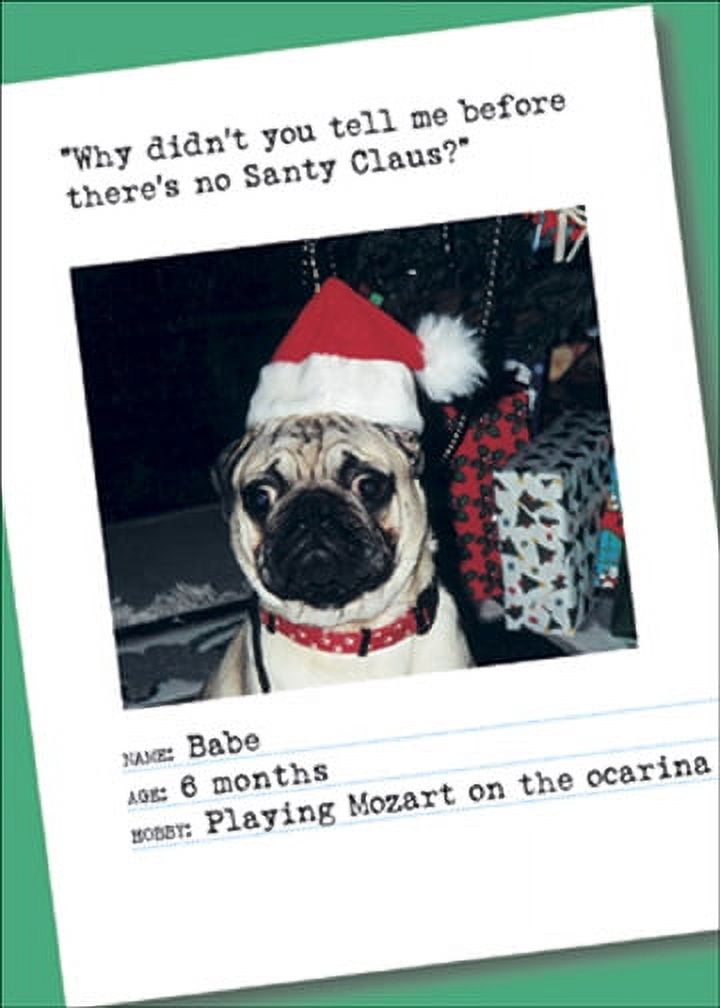 Nobleworks No Santa Claus Box of 12 Bad Dog Funny / Humorous Christmas ...