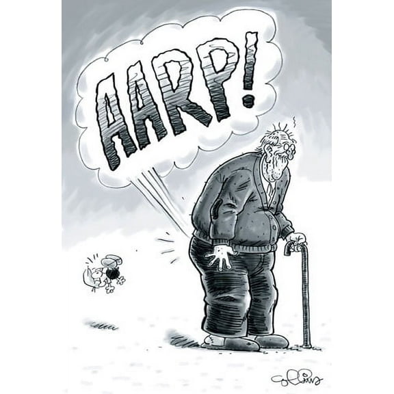 Nobleworks Officially Old Fart Funny / Humorous Dan Collins Birthday Card
