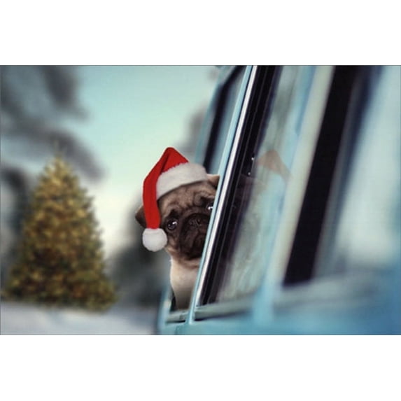 Nobleworks Pug Looking Out Car Window Cute Dog Christmas Card (1 card/1 ...