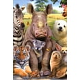 thumbnail image 1 of Nobleworks Zebra, Rhino, Tiger, Koala, Bear, Seal Funny / Humorous Get Well Card, 1 of 2