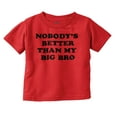 thumbnail image 1 of Nobody's Better Than My Big Bro Cute Toddler Boy Girl T Shirt Infant Toddler Brisco Brands 12M, 1 of 6