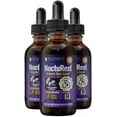 thumbnail image 1 of Rejuvica Health Nocturest | Liquid Sleep Supplement for Men & Women | Melatonin & More| 3 Pack Value, 1 of 8