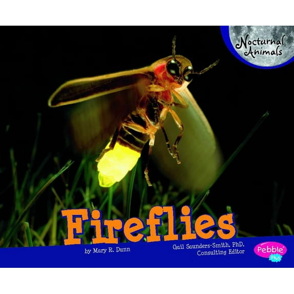 Nocturnal Animals Fireflies, (Paperback)