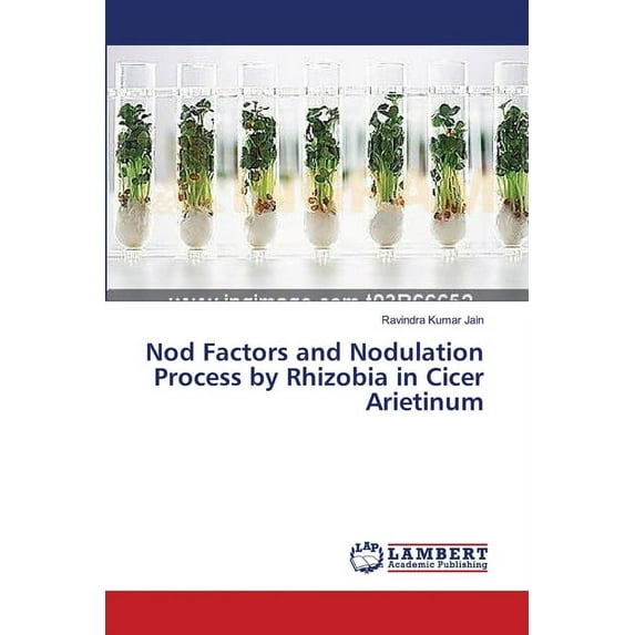 Nod Factors and Nodulation Process by Rhizobia in Cicer Arietinum (Paperback)